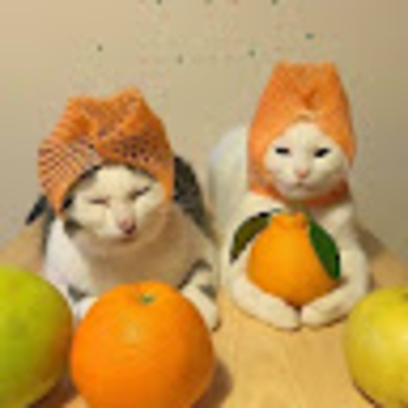 jie_sun